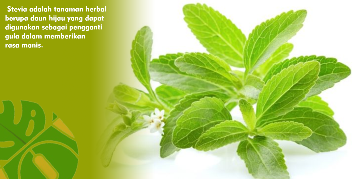 Manfaat Tanaman Stevia Sebagai Pengganti Gula yang Menyehatkan Tubuh